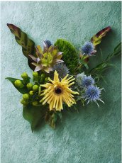 画像1: GREEN WITH ENVY｜BUD_ishの緑の花束・ブーケ (1)