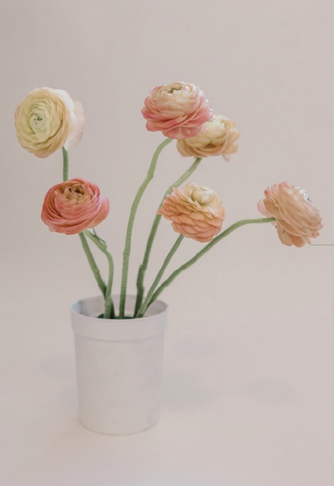 BUD_ish,ブランド