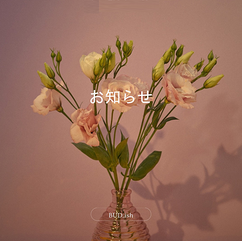 BUD_ish,お知らせ